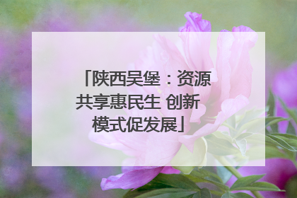 陕西吴堡：资源共享惠民生 创新模式促发展