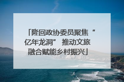 隆回政协委员聚焦“亿年龙洞” 推动文旅融合赋能乡村振兴