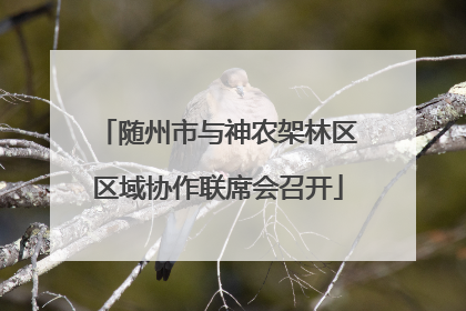 随州市与神农架林区区域协作联席会召开