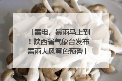 雷电、暴雨马上到！陕西省气象台发布雷雨大风黄色预警