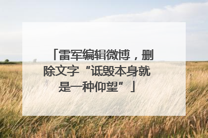 雷军编辑微博，删除文字“诋毁本身就是一种仰望”