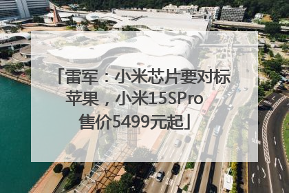 雷军：小米芯片要对标苹果，小米15SPro售价5499元起