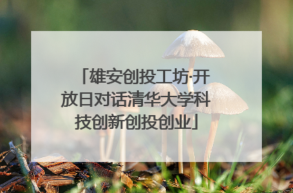 雄安创投工坊·开放日对话清华大学科技创新创投创业