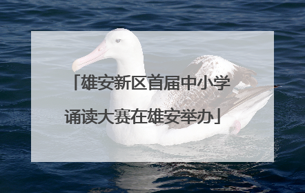 雄安新区首届中小学诵读大赛在雄安举办