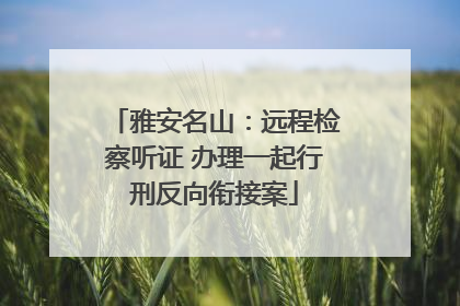 雅安名山：远程检察听证 办理一起行刑反向衔接案