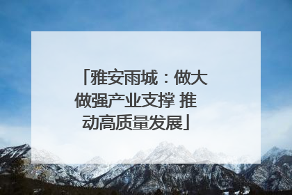 雅安雨城：做大做强产业支撑 推动高质量发展