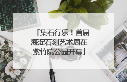 集石行乐！首届海淀石刻艺术周在紫竹院公园开幕