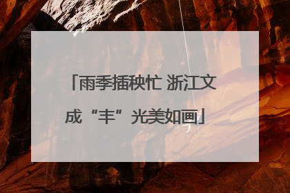 雨季插秧忙 浙江文成“丰”光美如画