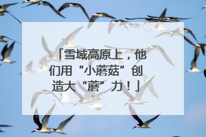雪域高原上，他们用“小蘑菇”创造大“蘑”力！