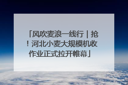 风吹麦浪一线行｜抢！河北小麦大规模机收作业正式拉开帷幕