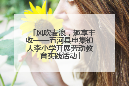 风吹麦浪，趣享丰收——五河县申集镇大李小学开展劳动教育实践活动