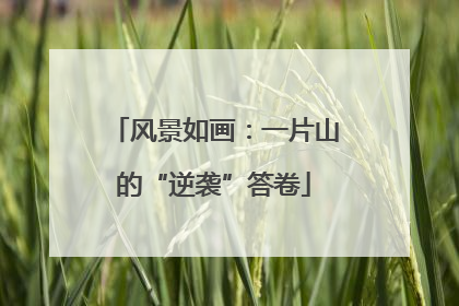 风景如画：一片山的“逆袭”答卷