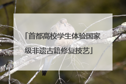 首都高校学生体验国家级非遗古籍修复技艺