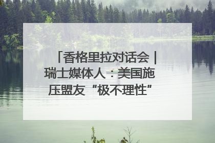 香格里拉对话会｜瑞士媒体人：美国施压盟友“极不理性” 欧洲国家无意与中国“脱钩断链”