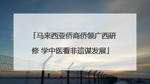 马来西亚侨商侨领广西研修 学中医看非遗谋发展
