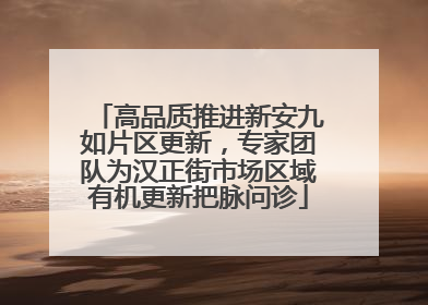 高品质推进新安九如片区更新，专家团队为汉正街市场区域有机更新把脉问诊