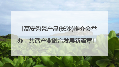 高安陶瓷产品(长沙)推介会举办，共话产业融合发展新篇章