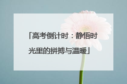 高考倒计时：静悟时光里的拼搏与温暖