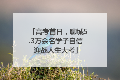 高考首日，聊城5.3万余名学子自信迎战人生大考