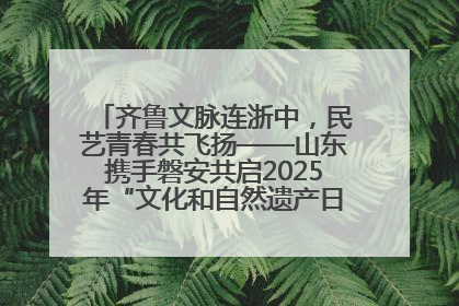 齐鲁文脉连浙中，民艺青春共飞扬——山东携手磐安共启2025年“文化和自然遗产日”系列活动