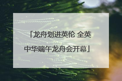龙舟划进英伦 全英中华端午龙舟会开幕