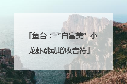 鱼台：“白富美”小龙虾跳动增收音符