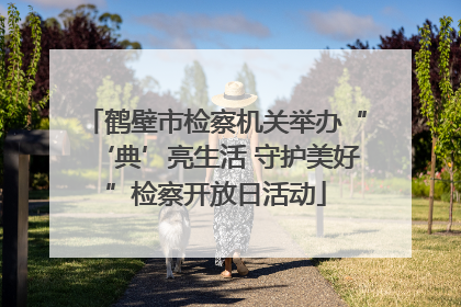 鹤壁市检察机关举办“‘典’亮生活 守护美好”检察开放日活动