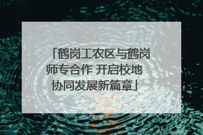 鹤岗工农区与鹤岗师专合作 开启校地协同发展新篇章
