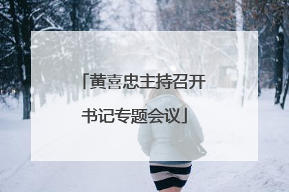 黄喜忠主持召开书记专题会议