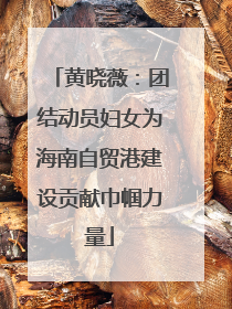 黄晓薇：团结动员妇女为海南自贸港建设贡献巾帼力量