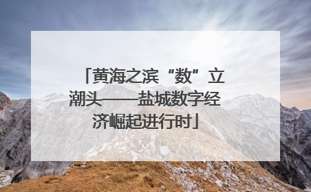 黄海之滨“数”立潮头——盐城数字经济崛起进行时