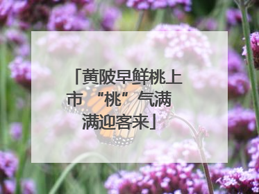 黄陂早鲜桃上市 “桃”气满满迎客来