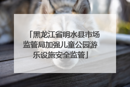 黑龙江省明水县市场监管局加强儿童公园游乐设施安全监管