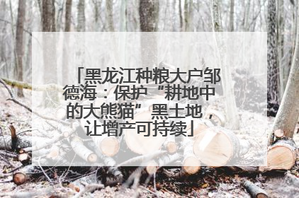黑龙江种粮大户邹德海：保护“耕地中的大熊猫”黑土地，让增产可持续