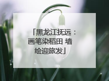 黑龙江抚远：画笔染稻田 墙绘迎旅发