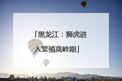 黑龙江：狮虎进入繁殖高峰期