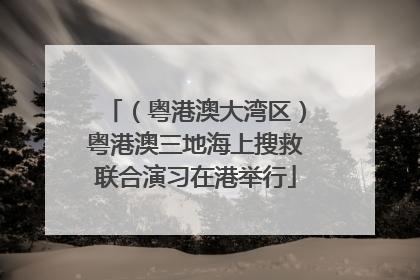 （粤港澳大湾区）粤港澳三地海上搜救联合演习在港举行