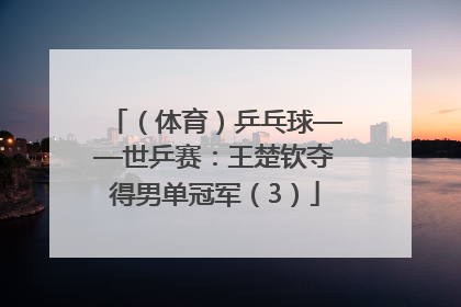（体育）乒乓球——世乒赛：王楚钦夺得男单冠军（3）