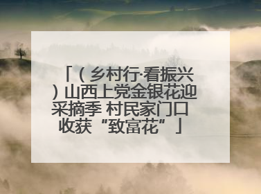 （乡村行·看振兴）山西上党金银花迎采摘季 村民家门口收获“致富花”