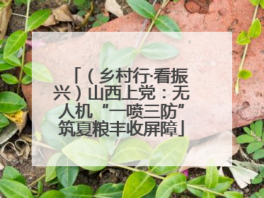 （乡村行·看振兴）山西上党：无人机“一喷三防”筑夏粮丰收屏障