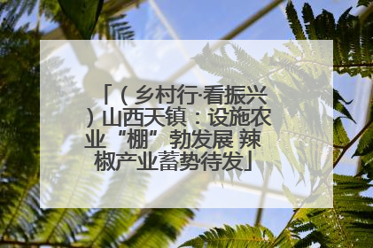 （乡村行·看振兴）山西天镇：设施农业“棚”勃发展 辣椒产业蓄势待发