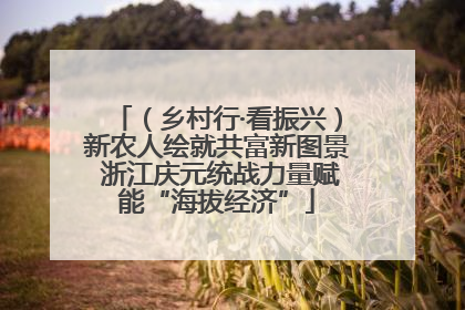 （乡村行·看振兴）新农人绘就共富新图景 浙江庆元统战力量赋能“海拔经济”