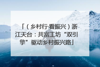 （乡村行·看振兴）浙江天台：共富工坊“双引擎”驱动乡村振兴路