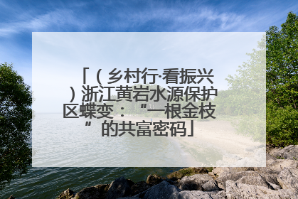 （乡村行·看振兴）浙江黄岩水源保护区蝶变：“一根金枝”的共富密码