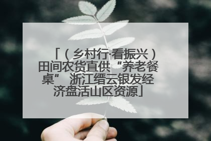 （乡村行·看振兴）田间农货直供“养老餐桌” 浙江缙云银发经济盘活山区资源