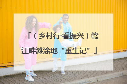 （乡村行·看振兴）赣江畔滩涂地“重生记”