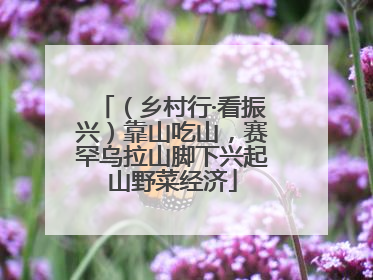 （乡村行·看振兴）靠山吃山，赛罕乌拉山脚下兴起山野菜经济