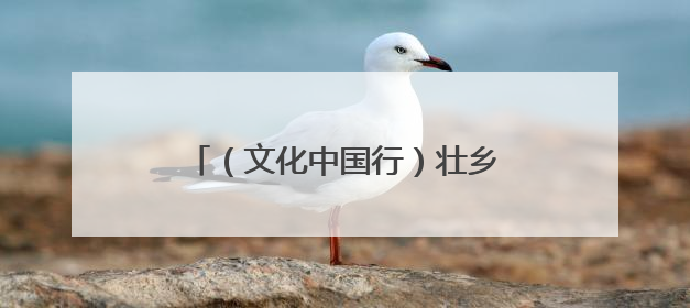 （文化中国行）壮乡狮舞闯南洋：脚踏“云桩” 饮誉海内外