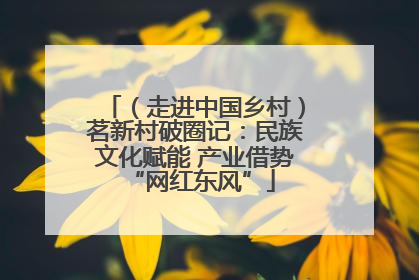 （走进中国乡村）茗新村破圈记：民族文化赋能 产业借势 “网红东风”