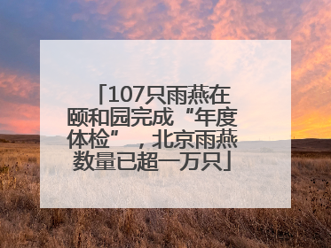 107只雨燕在颐和园完成“年度体检”，北京雨燕数量已超一万只